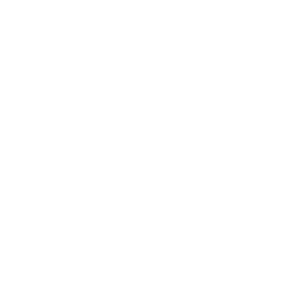 Painters Lane LLC
